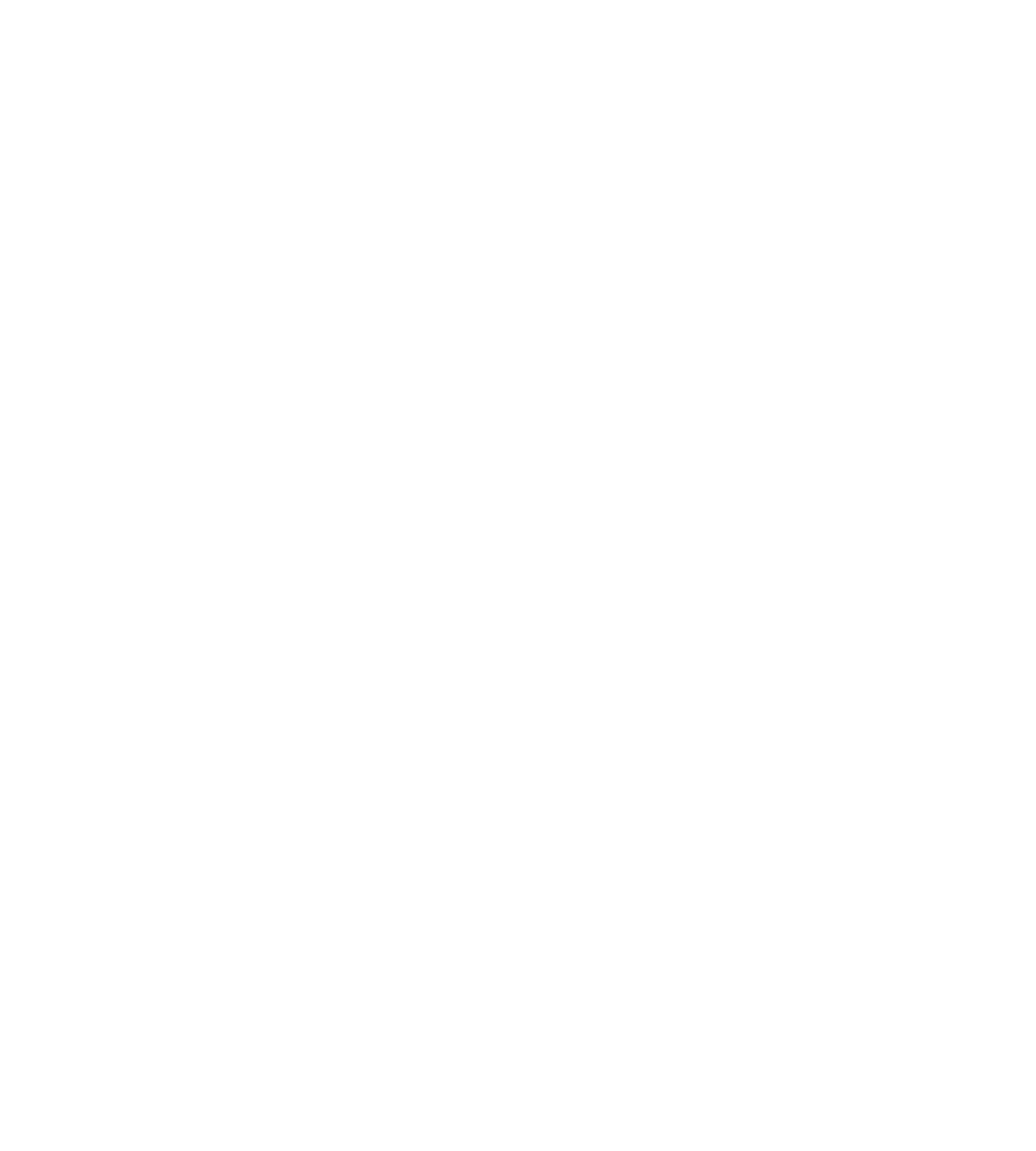 light logo